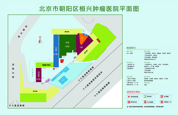 粗大的鸡吧差进小逼逼里视频北京市朝阳区桓兴肿瘤医院平面图